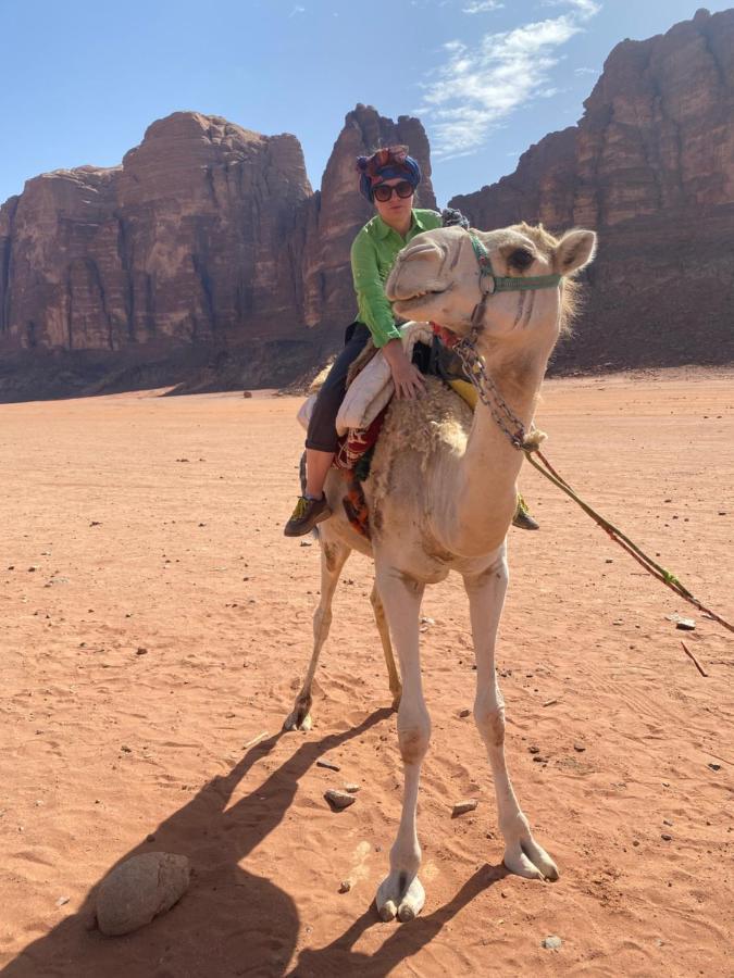Wadi Rum Desert Base Camp Exteriör bild